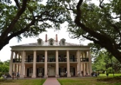 �_���̎�̍��@