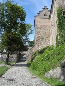 �A�[�P�X�V���[�t��