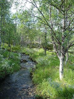 �n�C�L���O�R�[�X