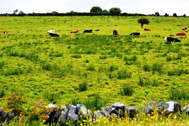 �o��������