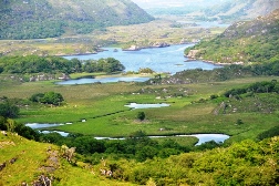 �M�w�l�̒���