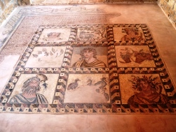 ���U�C�N��