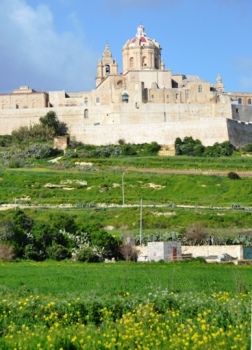 �C���f�B�[�i