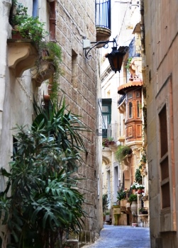 ���o�g�̘H�n