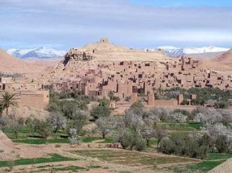 �A�C�g�E�x���E�n�b�h�E����̒���