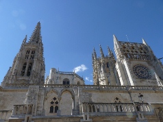 �u���S�X�̑吹��