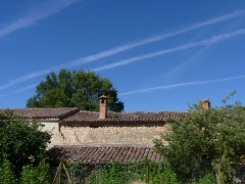 �C���@�̂��鑺