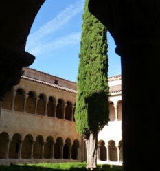 �V���X�C���@�̉�L