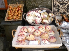 �z�^�e�L�ƂЂ傤����