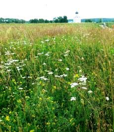 �l��������ւ̓�