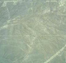 �R���h��