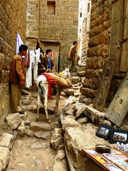 �n�W�����̔���q