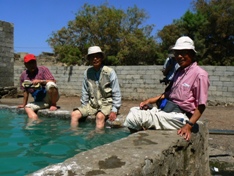 �C�G�����̉���