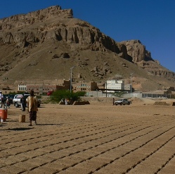 �����������K���