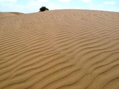 �T���T������