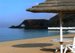 �ۂ̕@�Ɏ�����