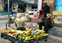 �Ƃ����낱������