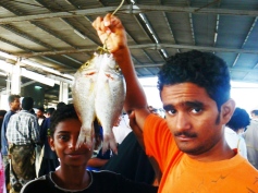 ���z�������C�G�����̒j