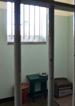 ���x����