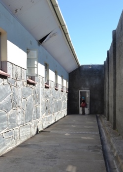 ���x����