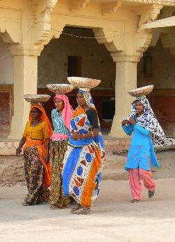 �΂��^��ł��鏗���B