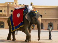 �A���x�[����̏�