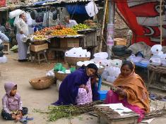 �K���W�X��߂��̘I�X