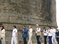 �X�g�[�p�̎��͂ŋF���Ă���