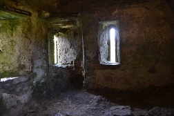 �u���[�j�[��