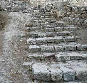 �C�G�X���������Βi