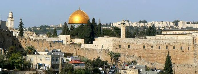 �V�I���̋u