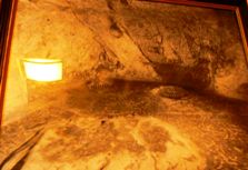 ���Z�t�̏Z��