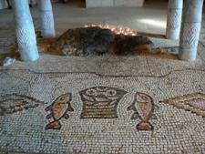 2�C�̋���5�̃p��