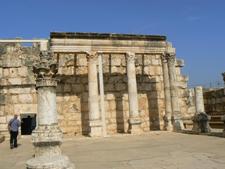 �����V�i�S�[�O