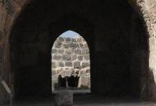 �\���R�v�ǂ̖�