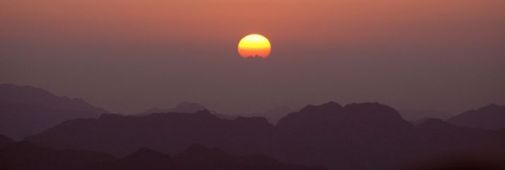 �V�i�C�R�̓��̏o