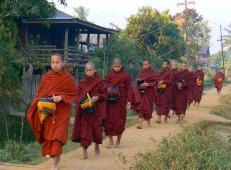 �����̑