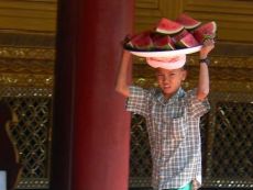 �X�C�J����̏��N