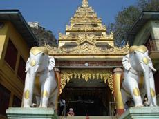 �z�b�p�R�̎��@