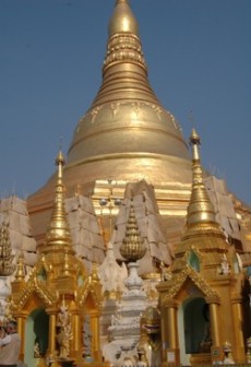 �V���G�_�S�I���p�S�_