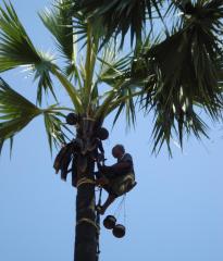 �������V