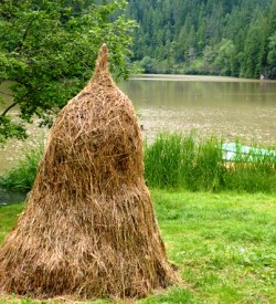 ���N���V����