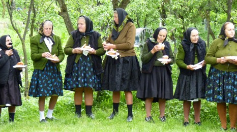 1�����~�T�̂���