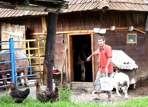 �����Ɉ͂܂ꂽ�_��