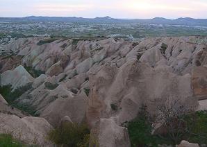 ���[�Y�o���[