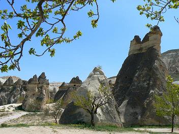 �[���x�̒J