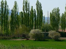 �����̕���