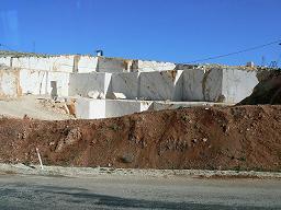 �؂�o�����̑嗝��