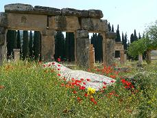 �q�G���|���X