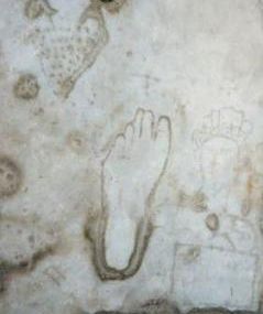 ���w�̊ق̓������